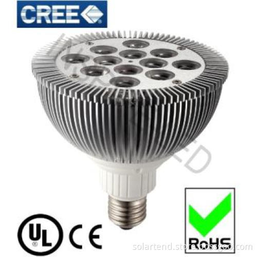 15W cree chip UL listed led par light